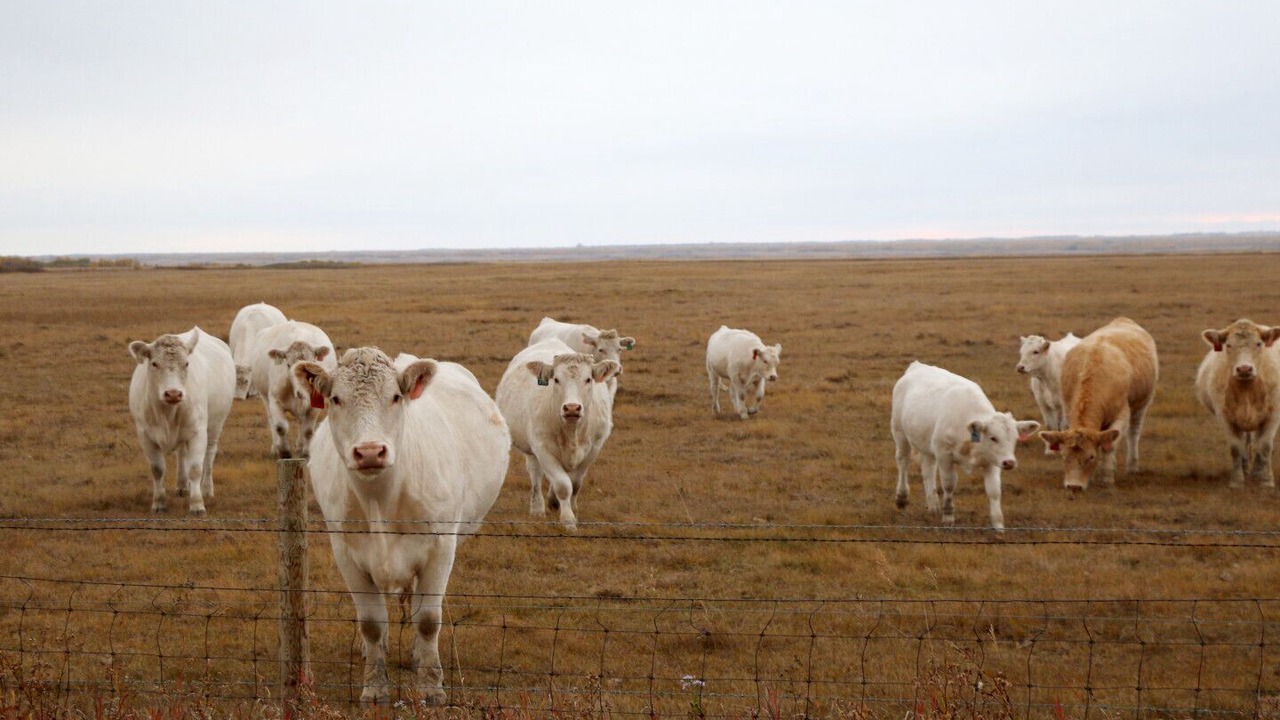Photo of Outdoor in West Central Saskatchewan
