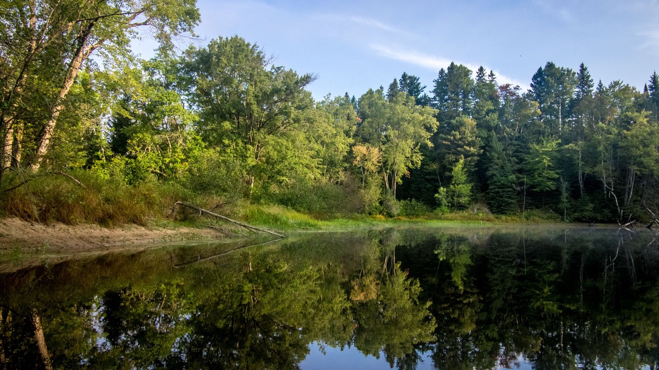 Photo of Others in Bancroft