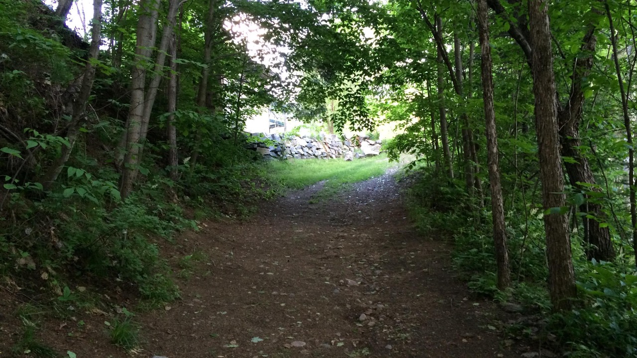 Photo of Others in Bancroft