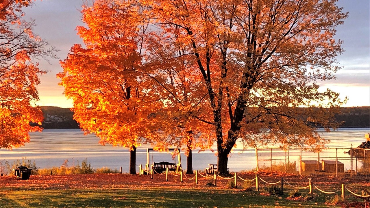 Photo of Outdoor in Saint-Laurent-de-l'ile d'Orleans