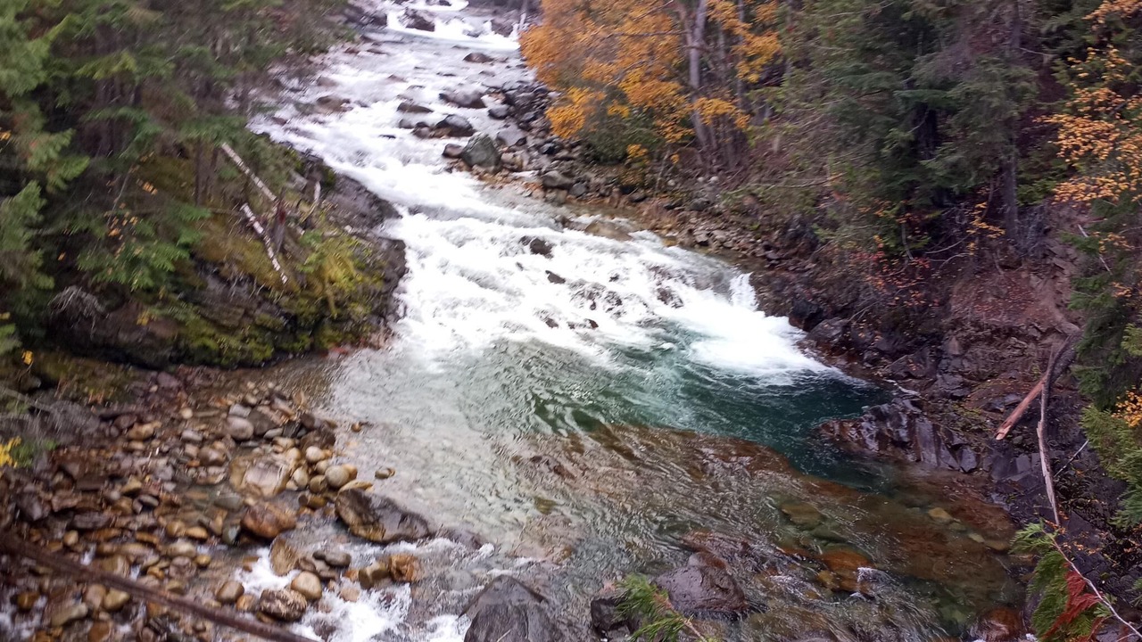 Photo of Outdoor in Nelson