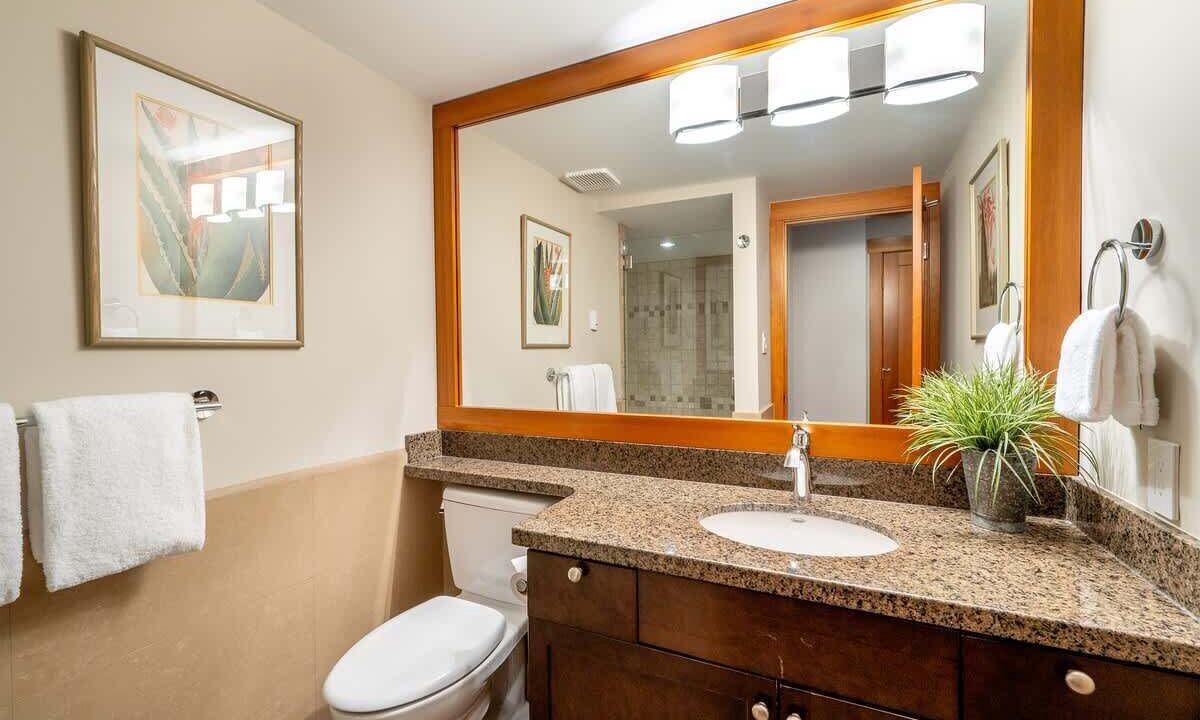 Photo of Bathroom in Whistler Village