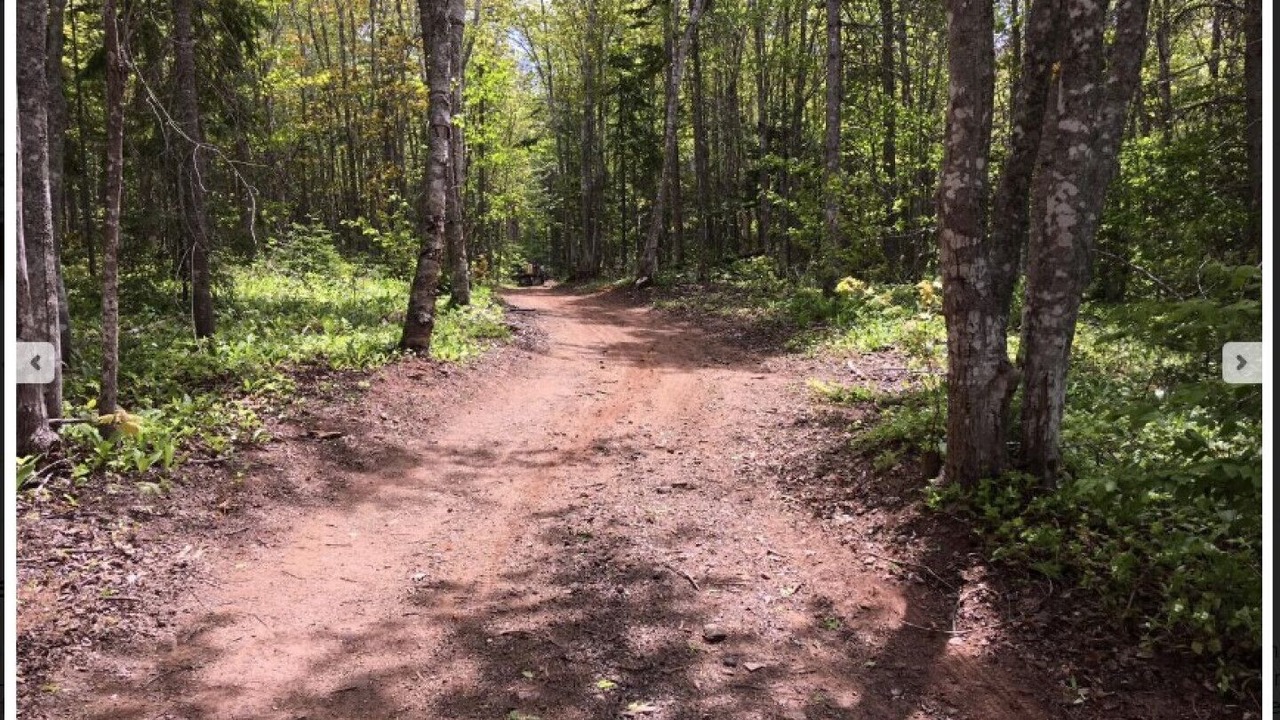 Photo of Outdoor in French River