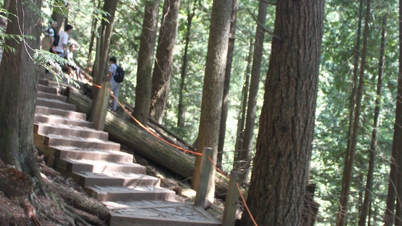 Photo of Others in Upper Lonsdale