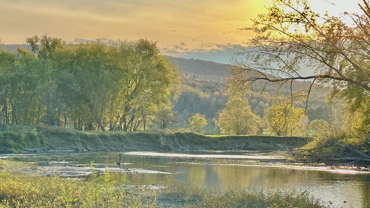Photo of Outdoor in Sutton