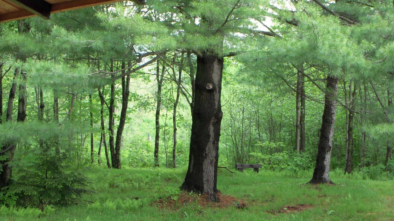Photo of Outdoor in Sutton
