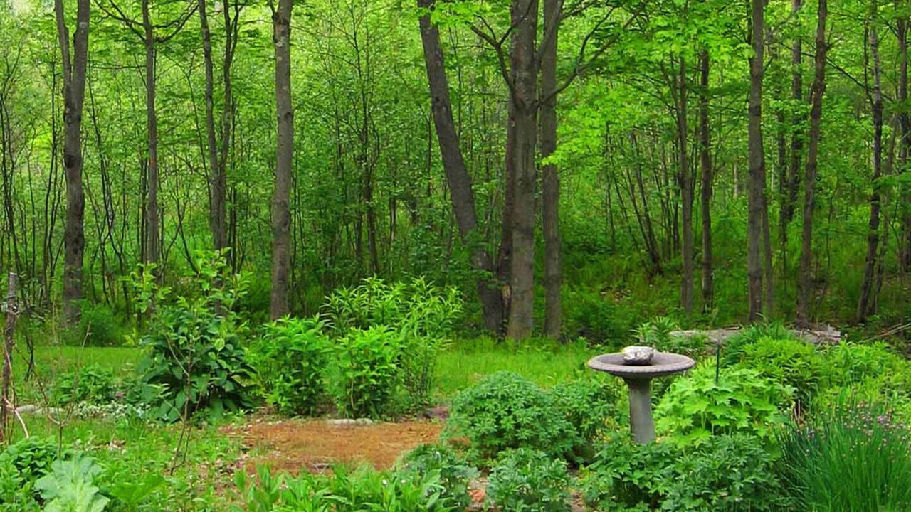 Photo of Outdoor in Sutton
