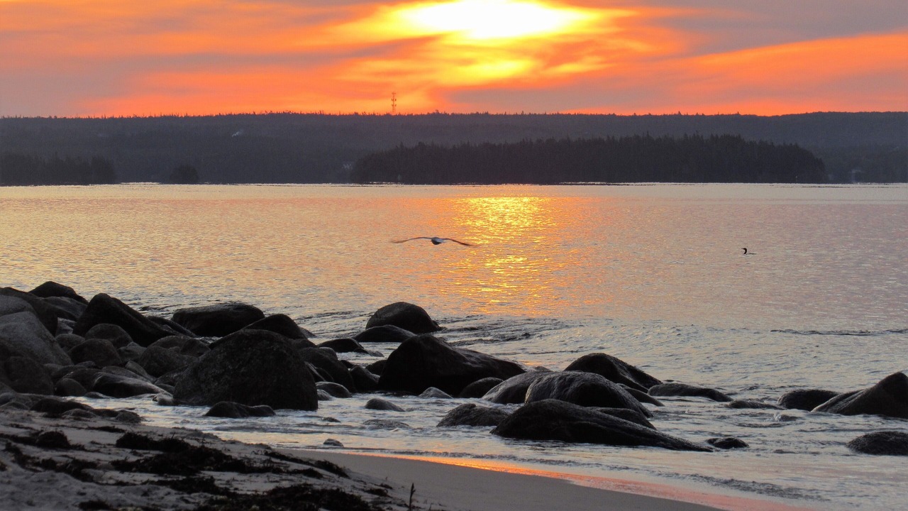 Photo of Others in Black Point