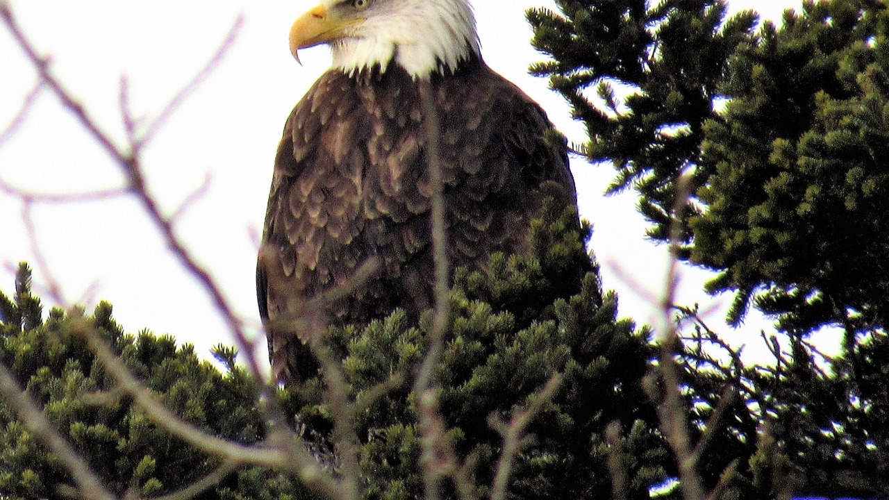 Photo of Others in Black Point