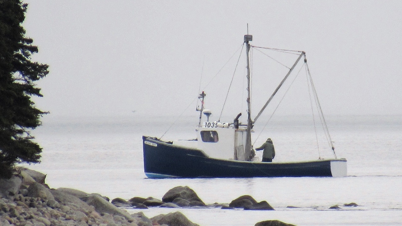 Photo of Others in Black Point