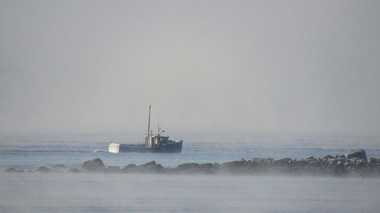 Photo of Others in Black Point