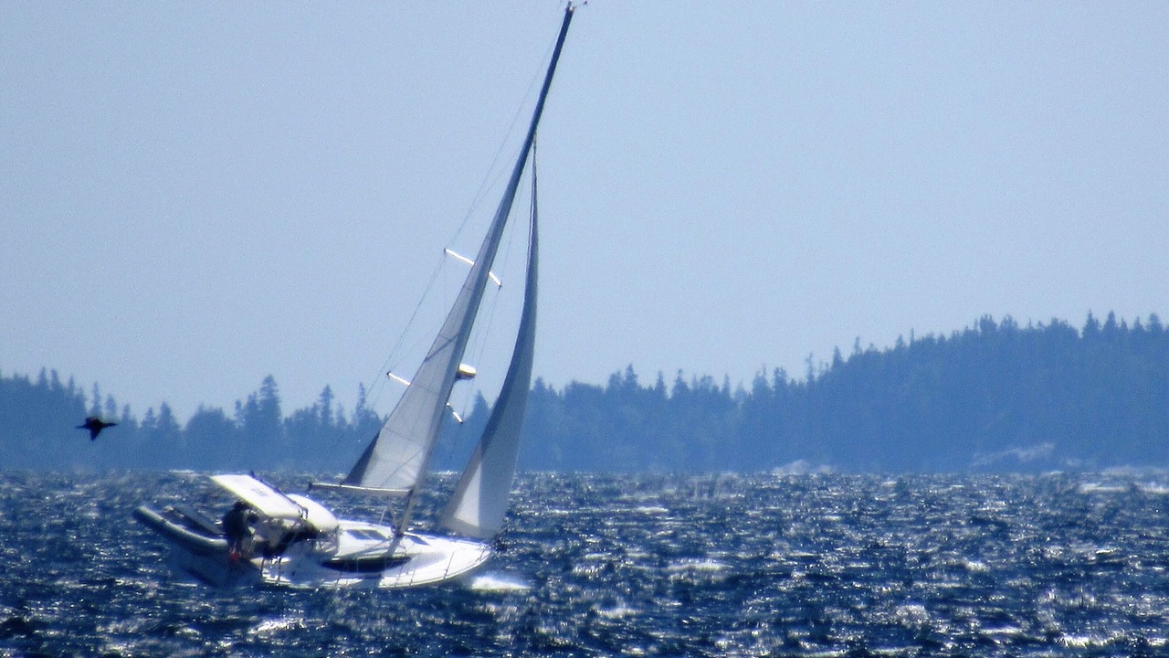 Photo of Others in Black Point