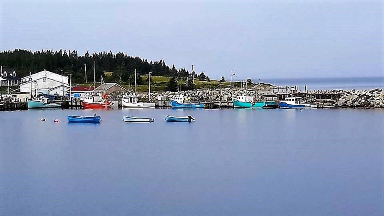 Photo of Others in Black Point