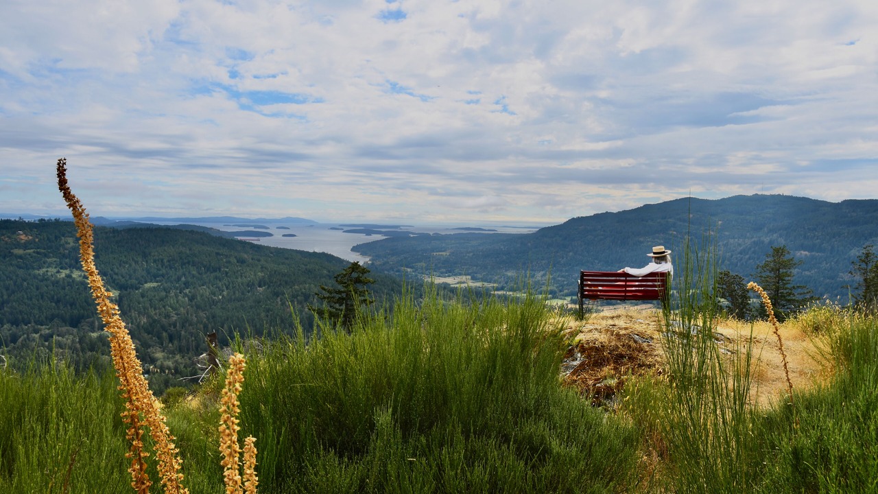 Photo of Others in Salt Spring Island