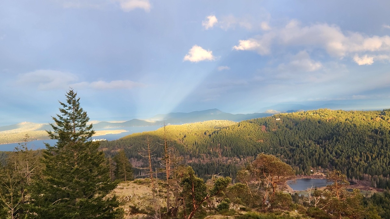 Photo of Others in Salt Spring Island