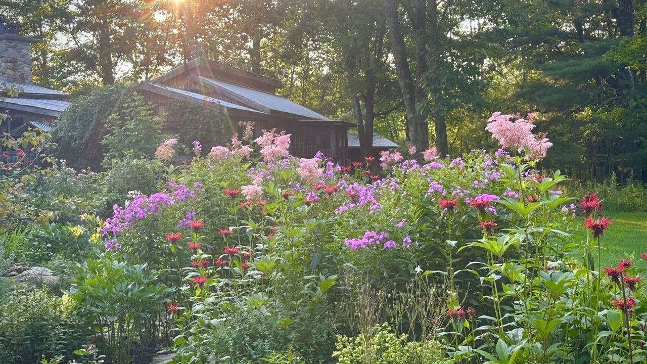 Photo of Outdoor in Sutton