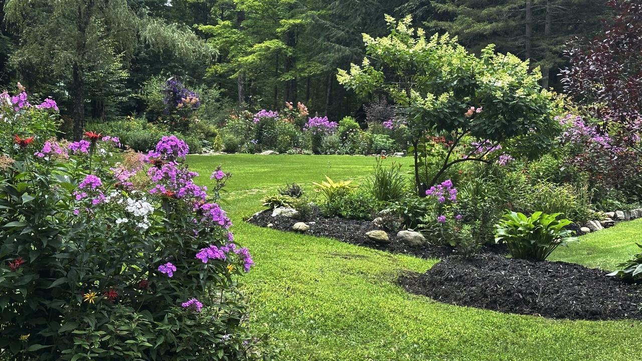 Photo of Outdoor in Sutton