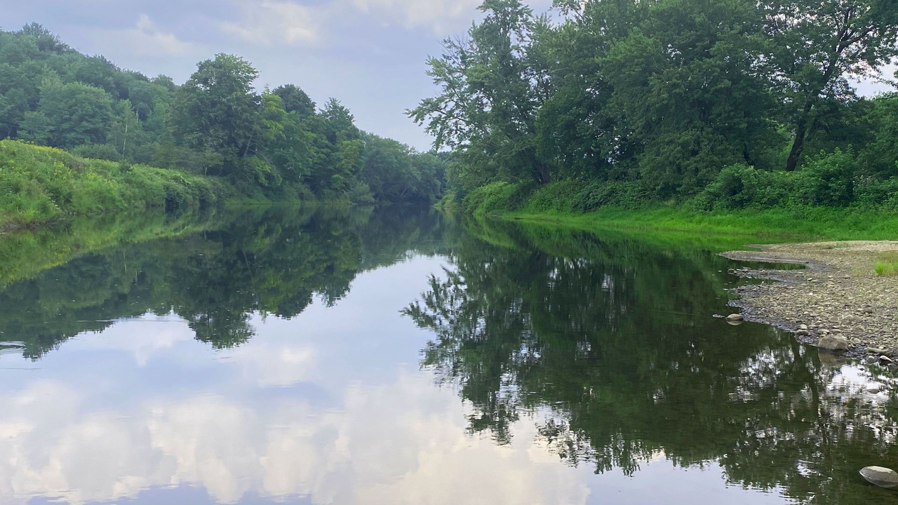 Photo of Outdoor in Sutton