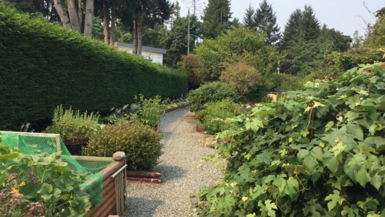 Photo of Outdoor in Mill Bay