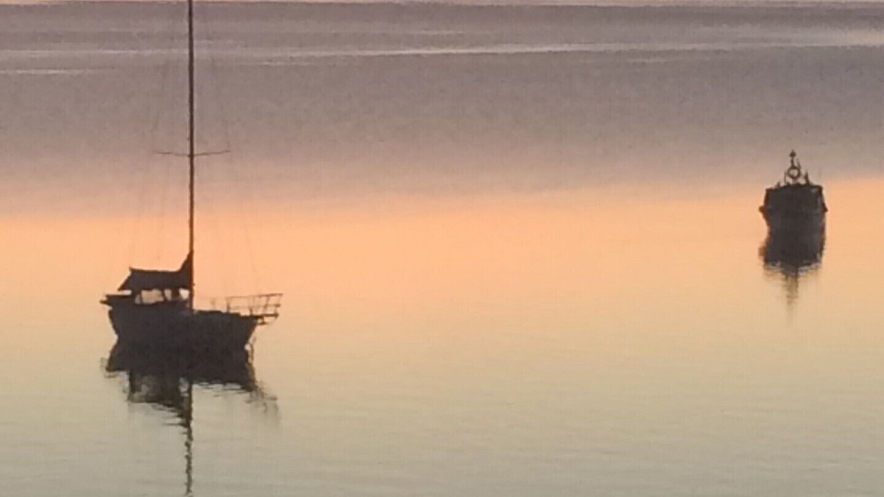 Photo of Others in Mill Bay