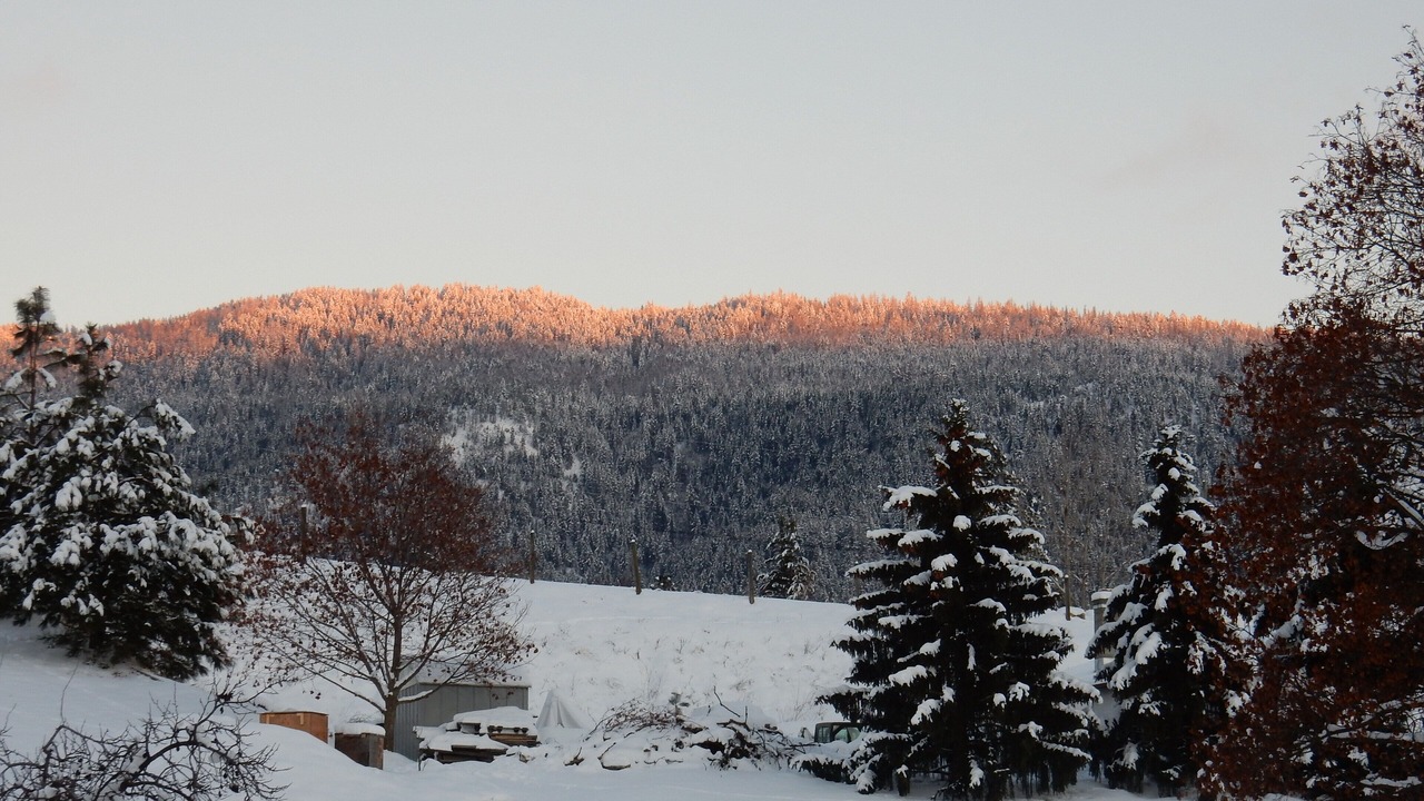 Photo of Others in Vernon