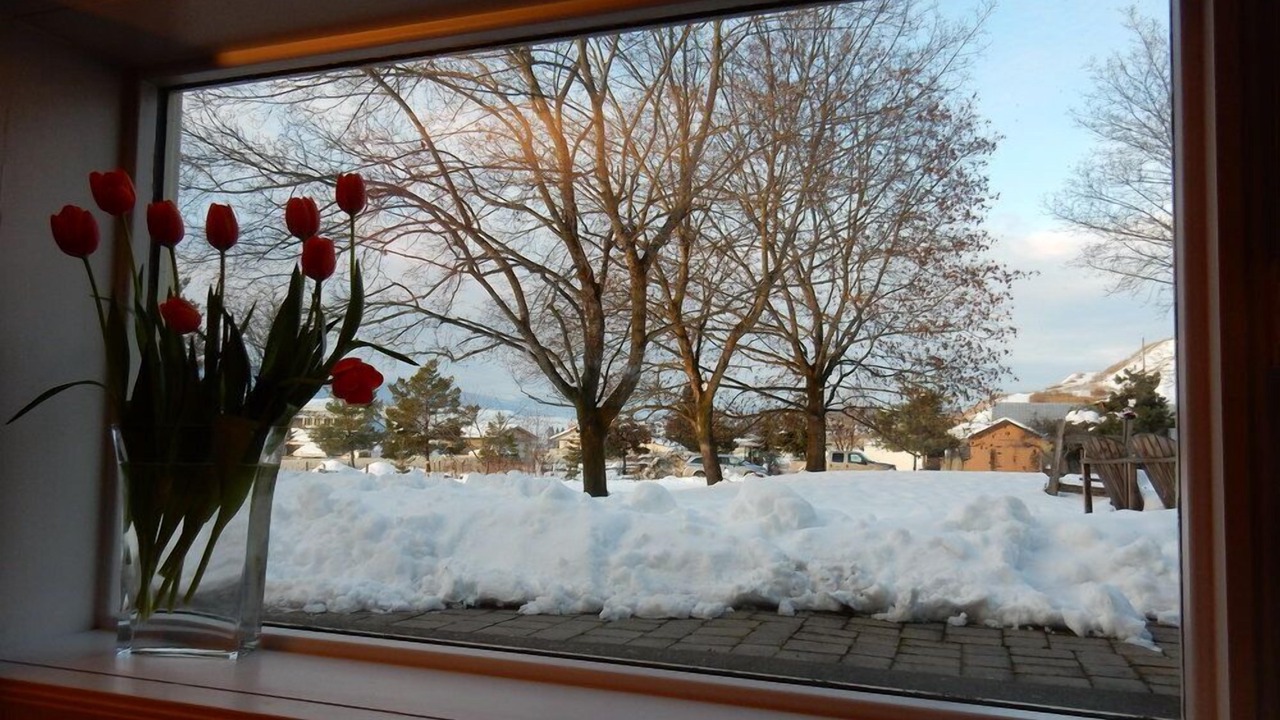 Photo of Others in Vernon