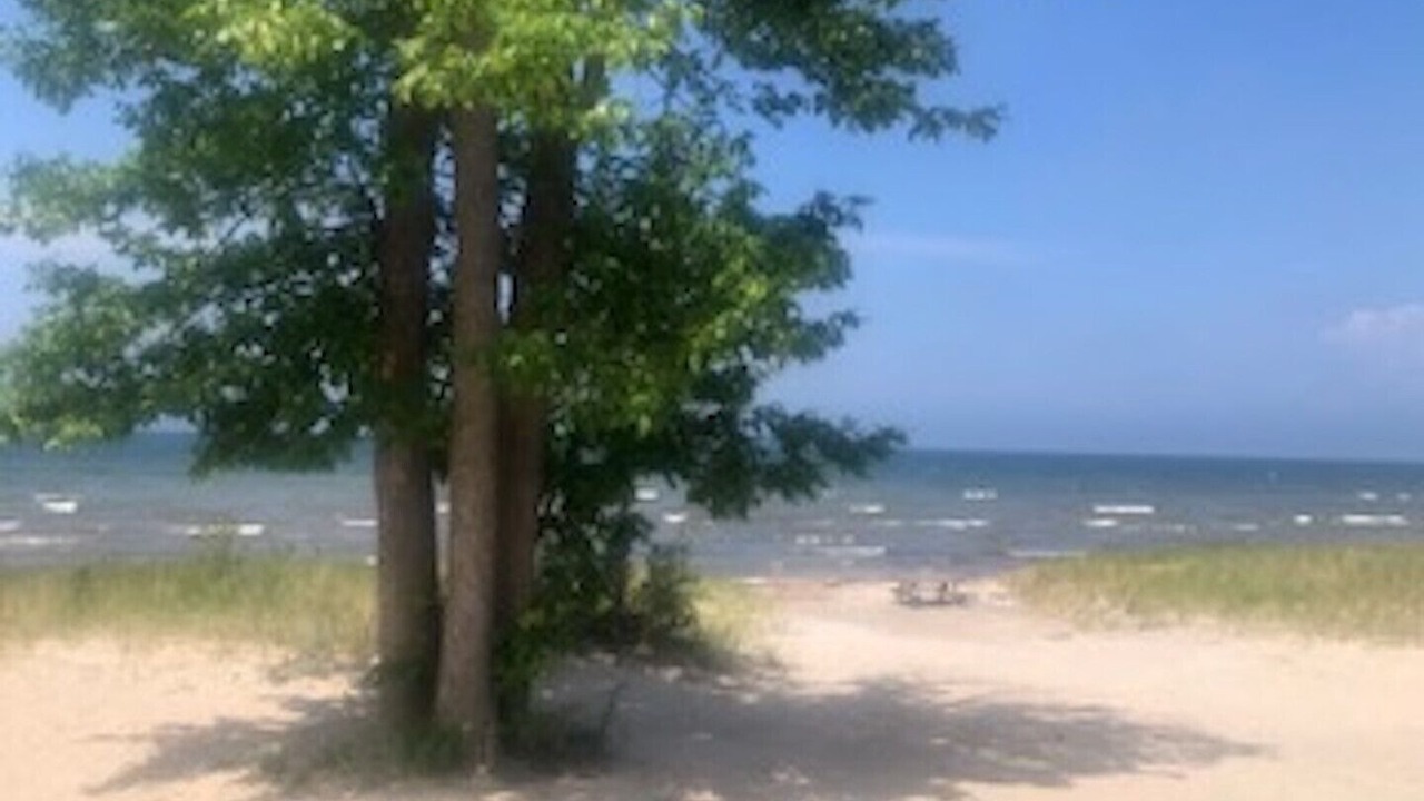 Photo of Others in Wasaga Beach