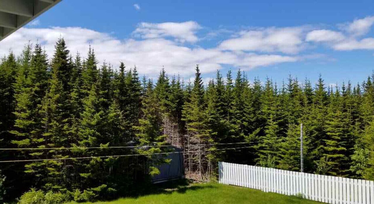 Photo of Outdoor in Trinity