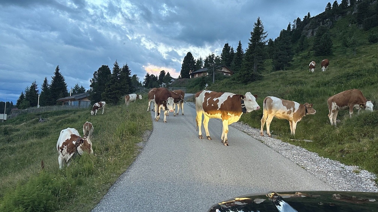 Photo of Others in Kaltenbach