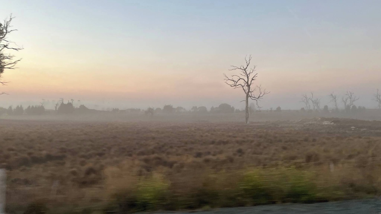 Photo of Others in Cooma