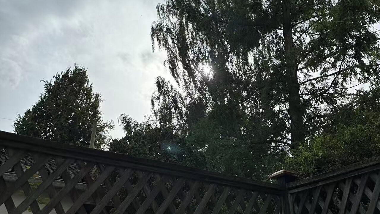 Photo of Others in West Point Grey