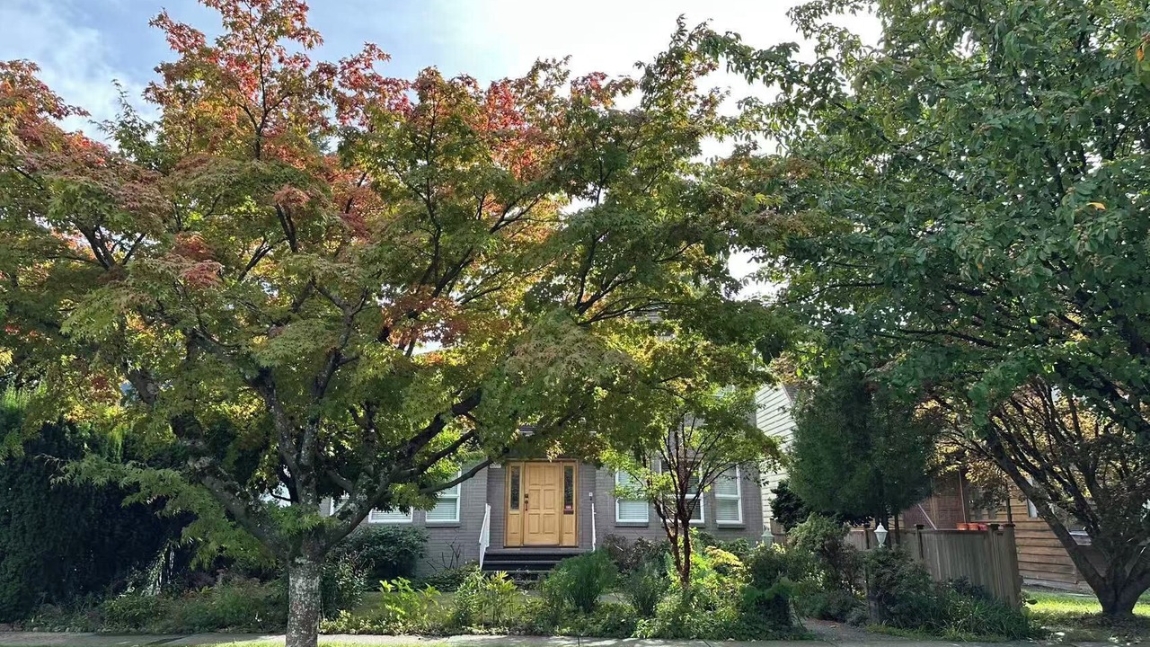 Photo of Outdoor in West Point Grey