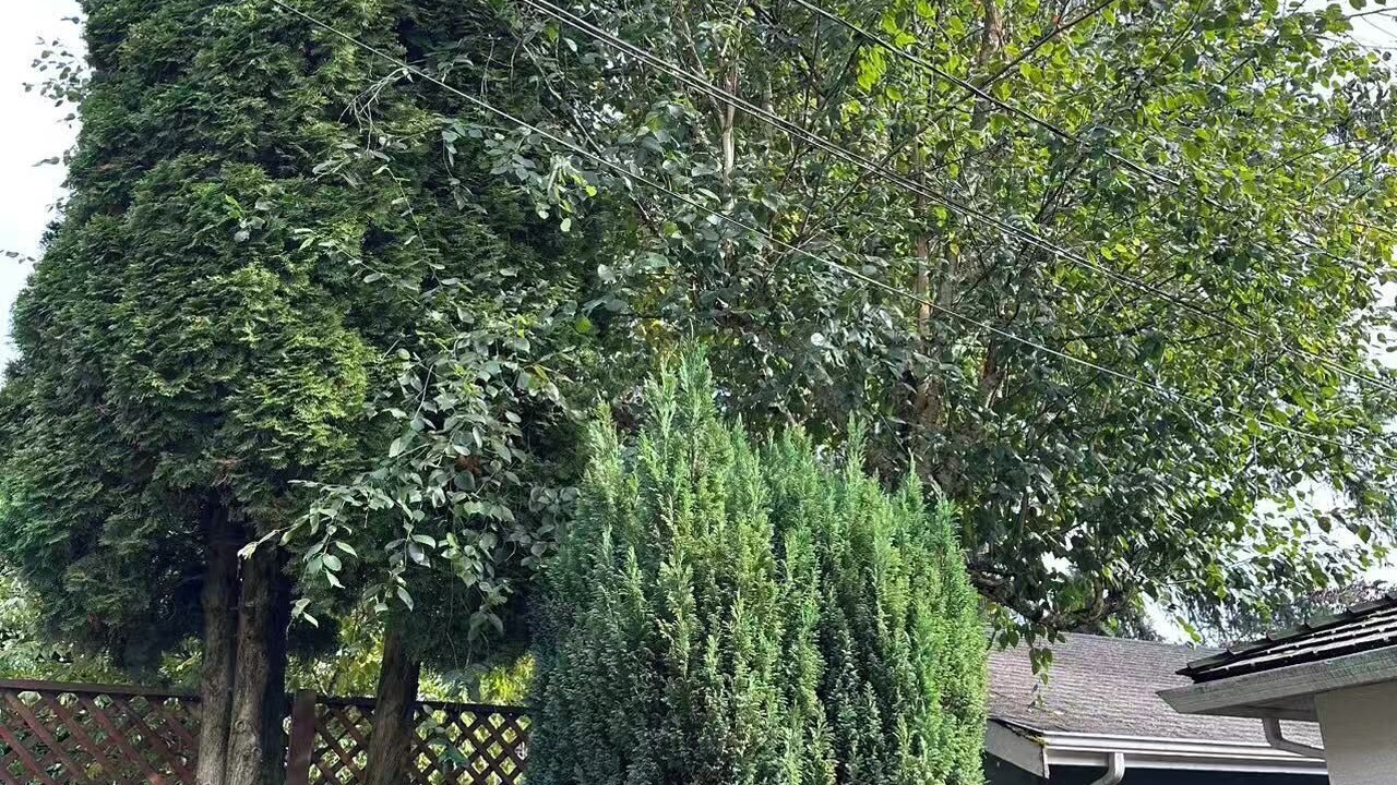 Photo of Outdoor in West Point Grey