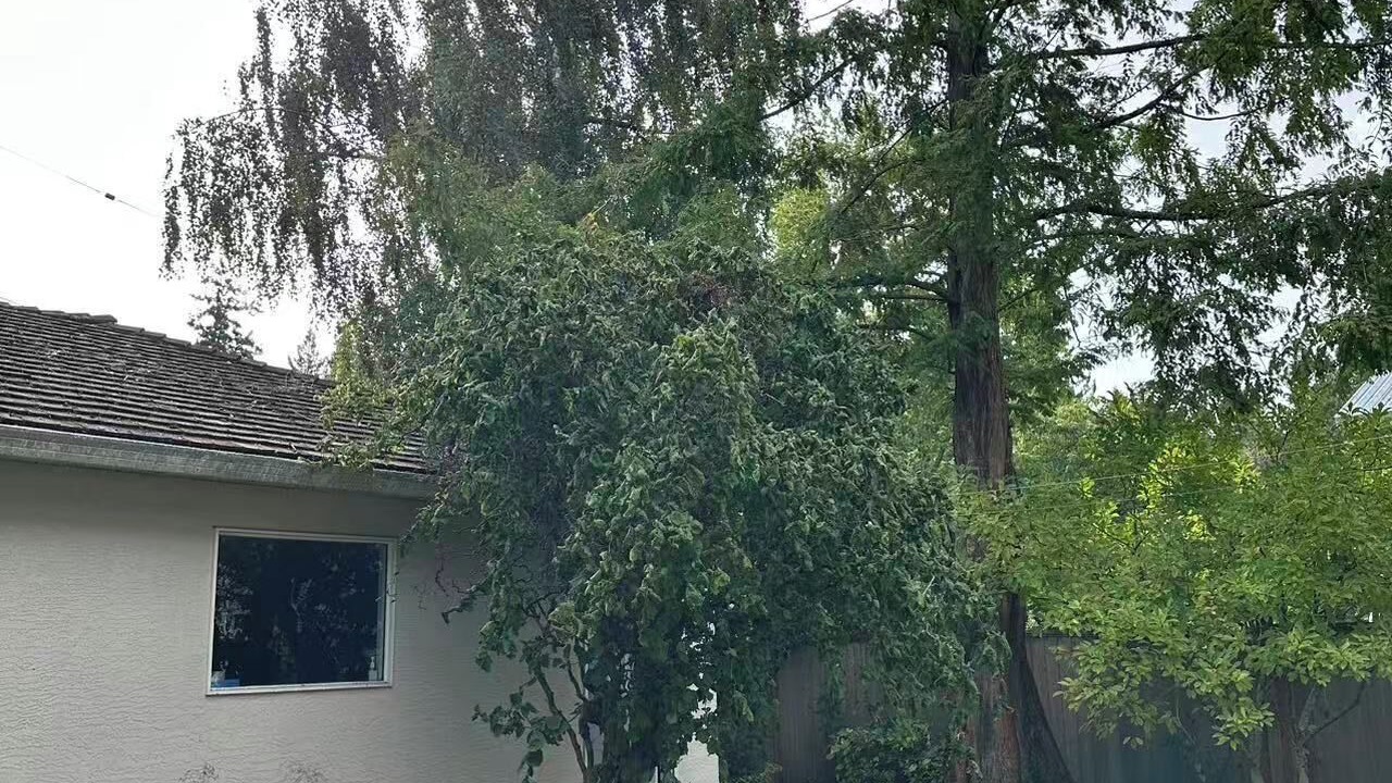 Photo of Outdoor in West Point Grey