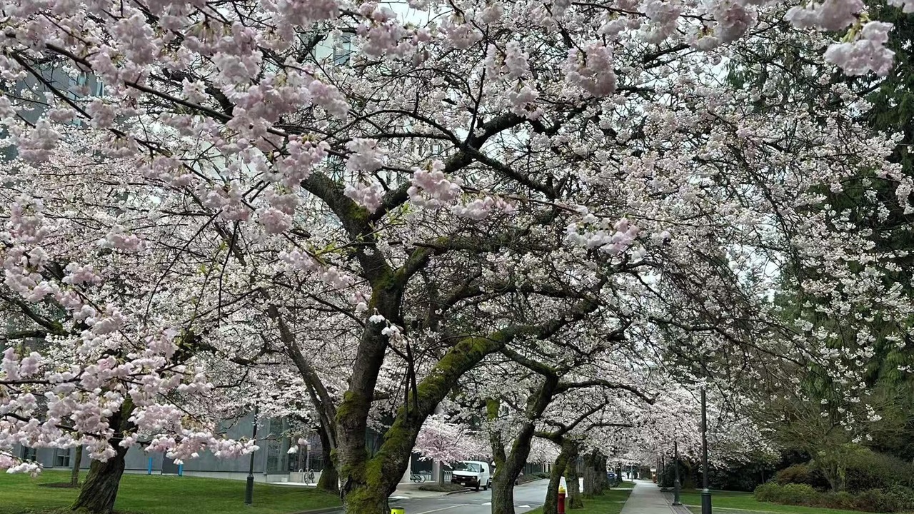 Photo of Others in West Point Grey