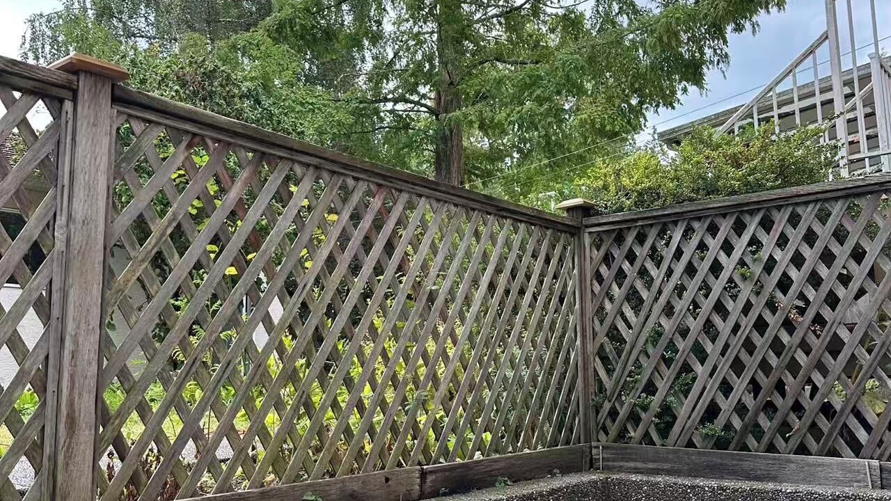 Photo of Outdoor in West Point Grey