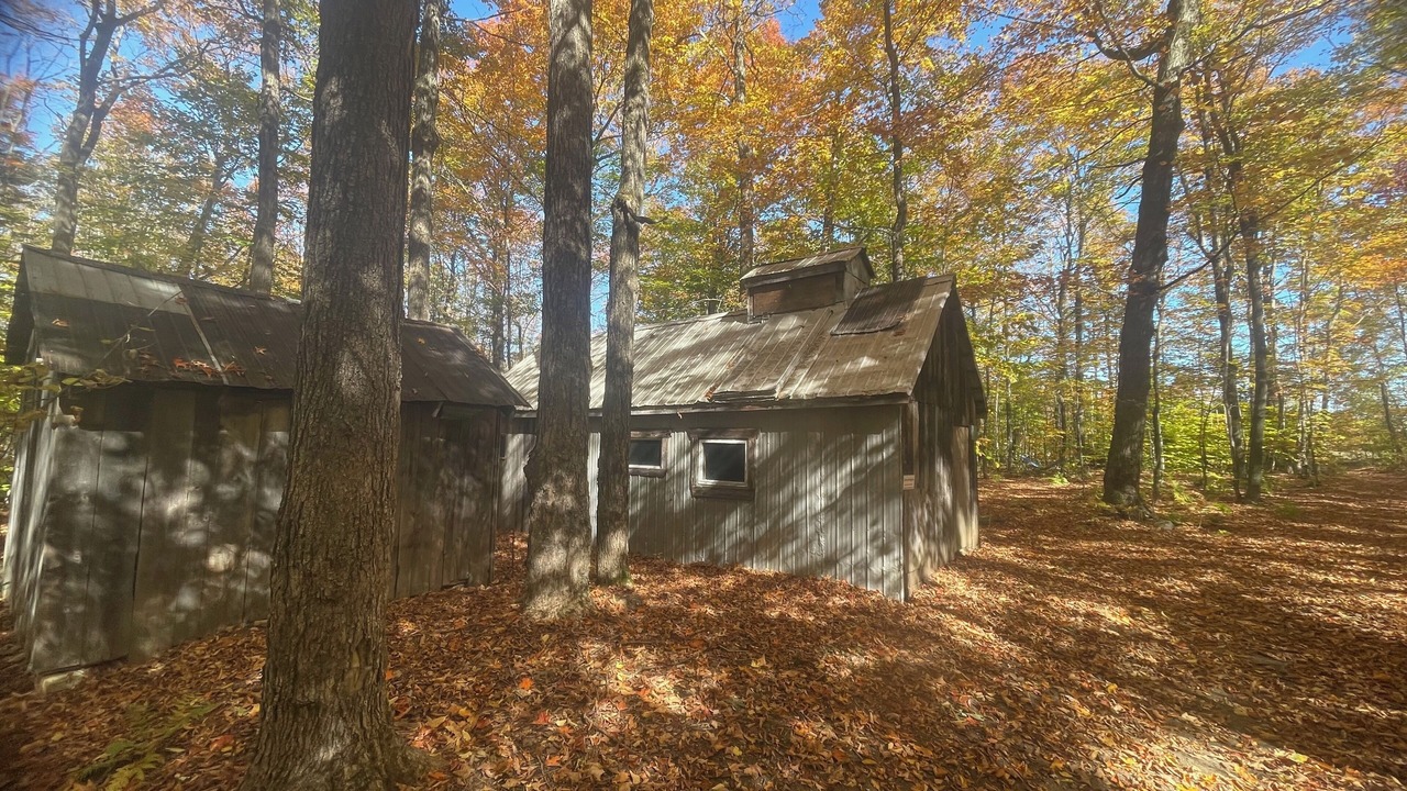 Photo of Outdoor in Saint-Pierre-de-l'lle-d'Orleans