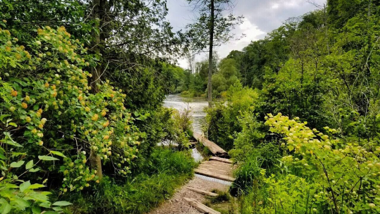 Photo of Others in South Bruce Peninsula