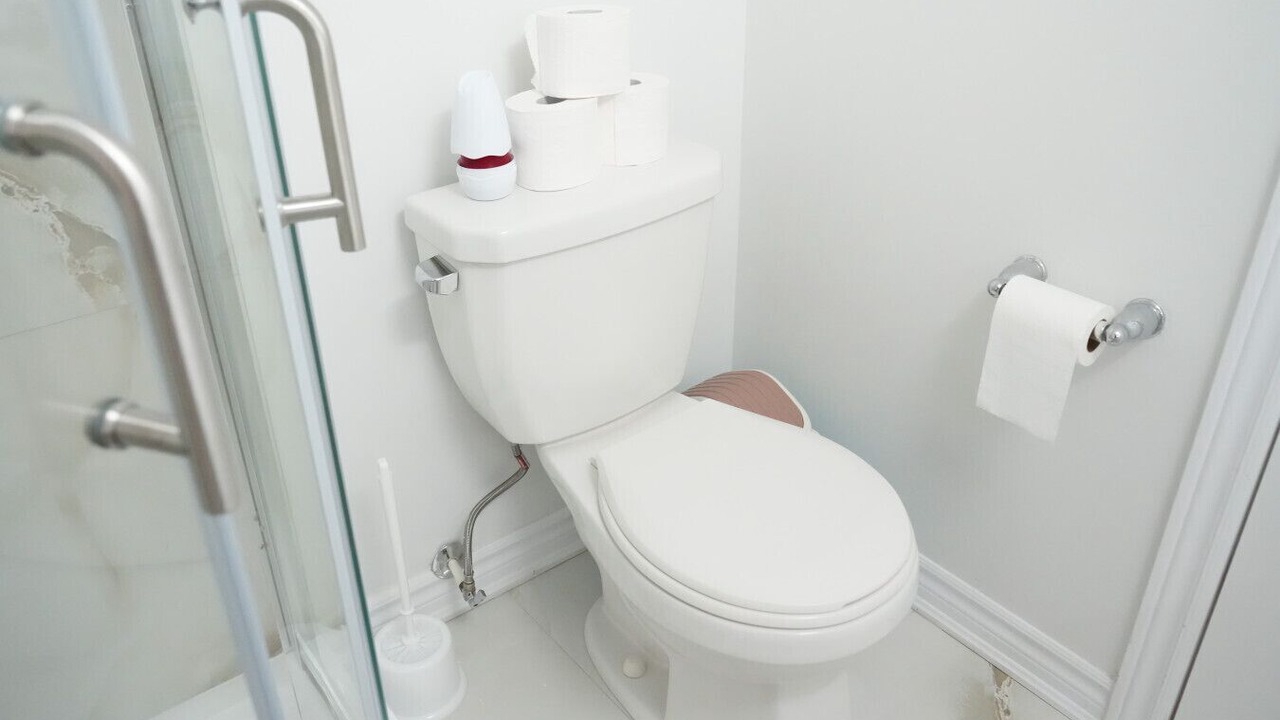 Photo of Bathroom in Brampton