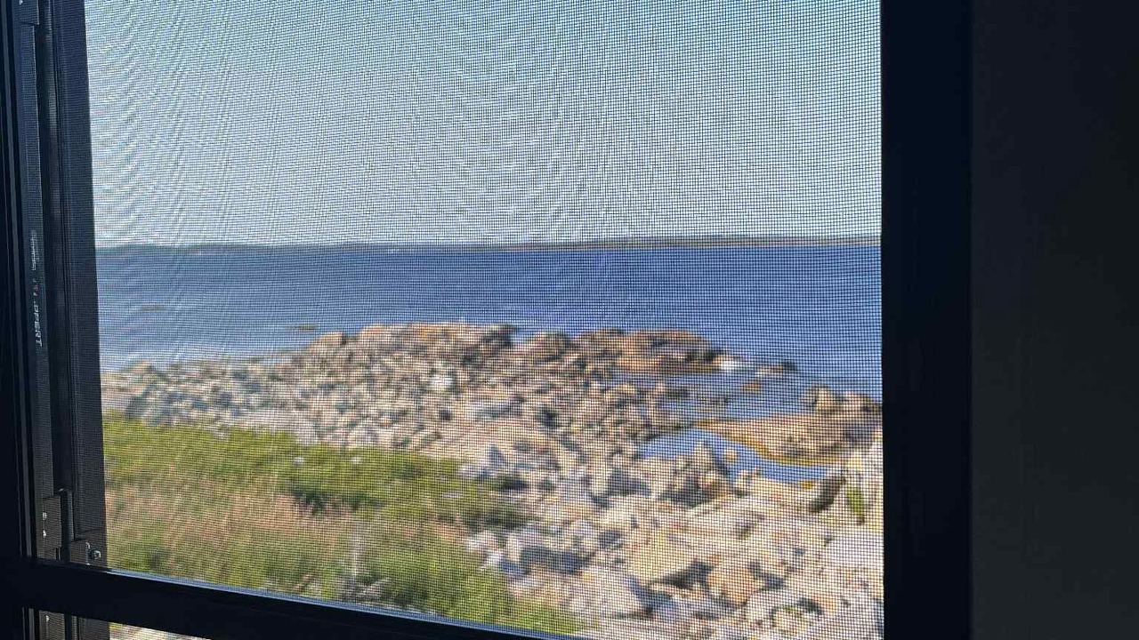 Photo of Others in Port Medway