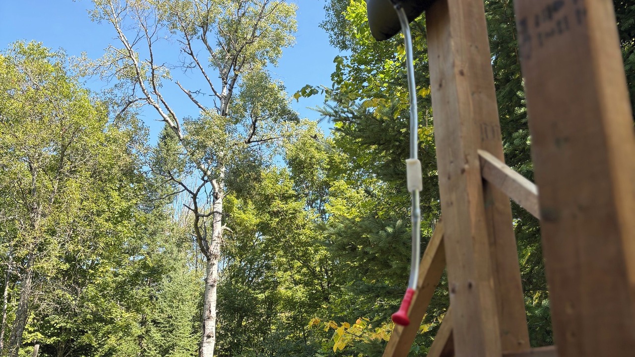 Photo of Others in Madawaska