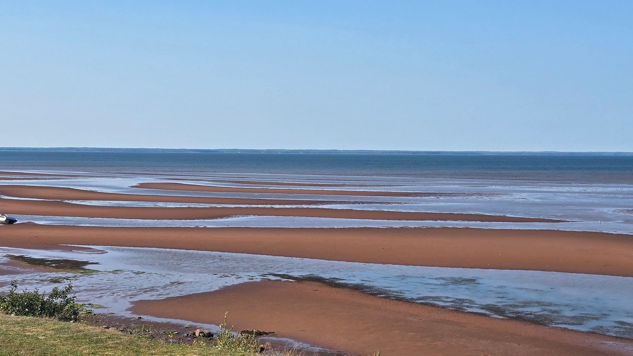 Photo of Others in Amherst Shore
