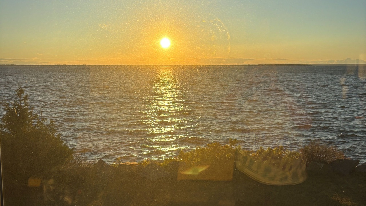 Photo of Others in Acadian Coastal Drive