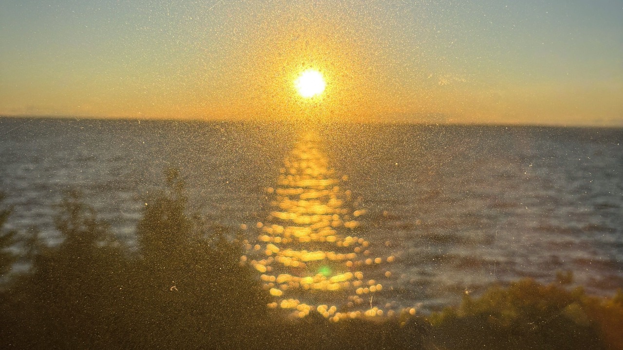 Photo of Others in Acadian Coastal Drive