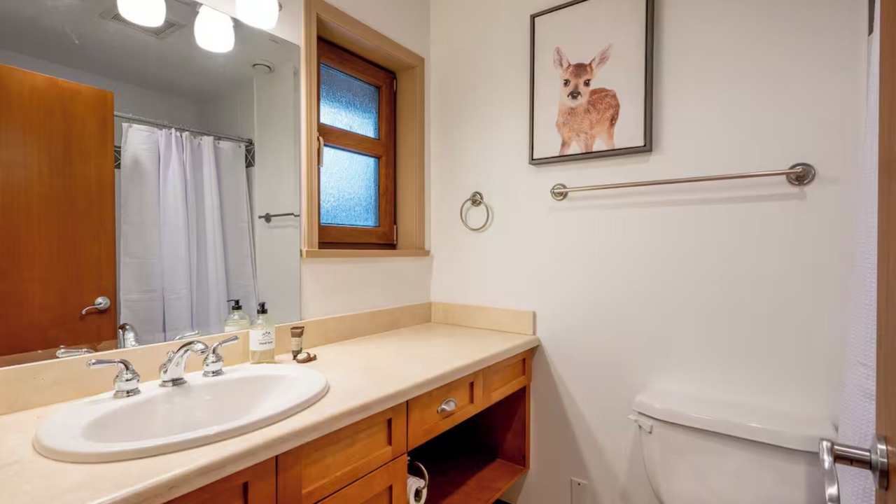 Photo of Bathroom in Blueberry Hill