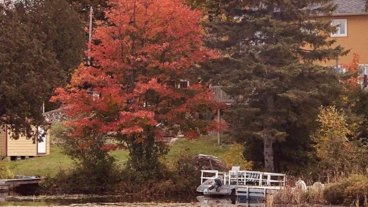 Photo of Others in Prevost