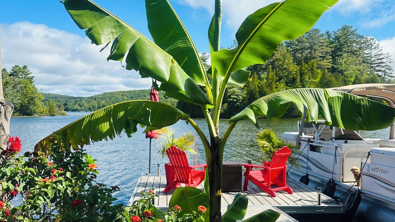 Photo of Outdoor in Prevost