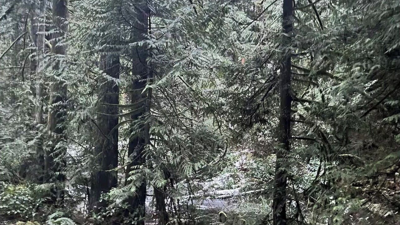 Photo of Others in Langford