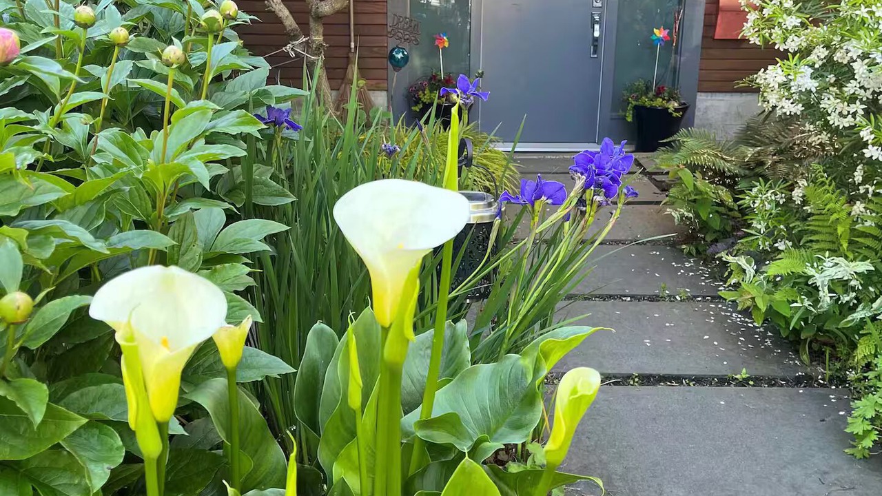 Photo of Outdoor in Vancouver South