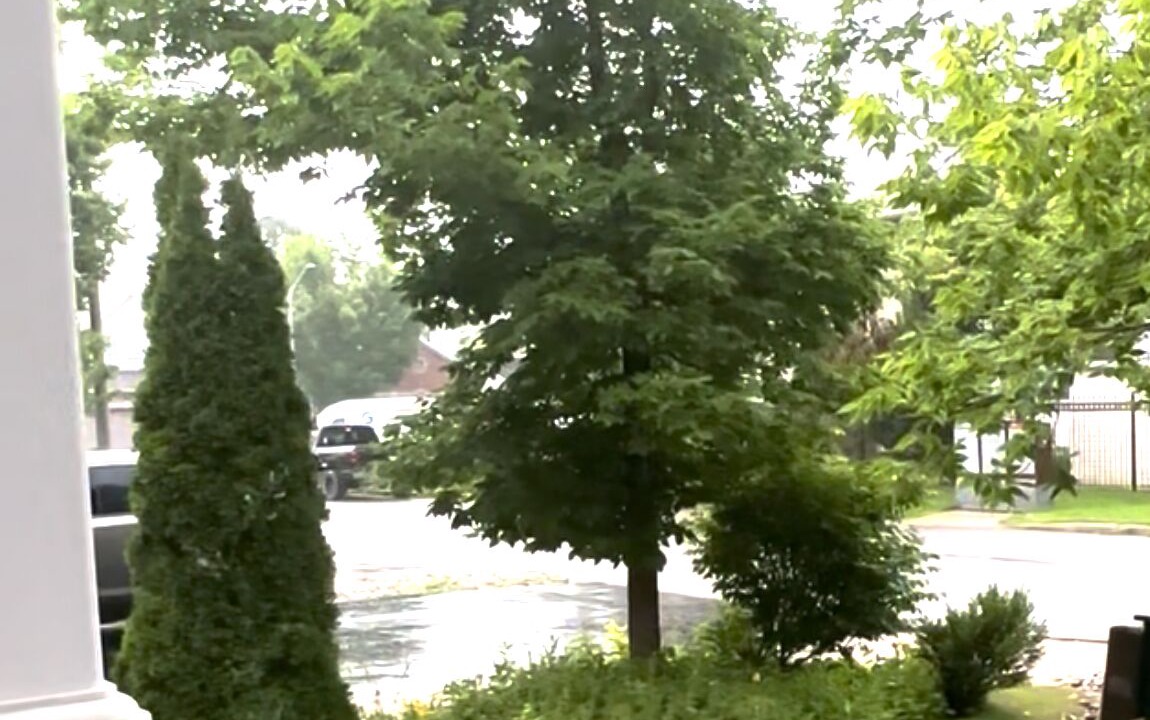 Photo of Outdoor in Chapel Hill South